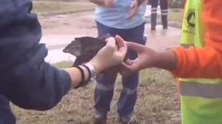 Kόρη 53χρονης αγνοούμενης: Δεν είναι της μητέρας μου το ύφασμα -ΒΙΝΤEO