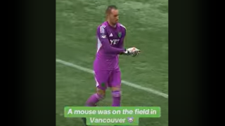 MLS: Τερματοφύλακας «απέκρουσε»... ποντίκι από τον αγωνιστικό χώρο