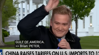 ΗΠΑ: Δημοσιογράφος δέχθηκε on air επίθεση από ένα... περιστέρι!