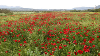Καιρός: Ανεβαίνει ο υδράργυρος σε όλη τη χώρα