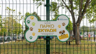 Θεσσαλονίκη: Ο «Ξαρχάκος» γίνεται... πάρκο για σκύλους-Πότε θα παραδοθεί από τον Δήμο