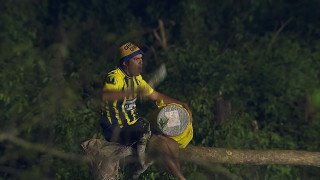 Και στα δέντρα και παντού (video)