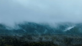 Απίστευτο: Στη Ιαπωνία υπάρχει συγκεκριμένο μέρος για να αυτοκτονήσει κάποιος! (vid)