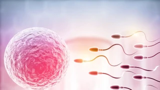 Ποιες είναι οι 5 εξετάσεις για τη διάγνωση της ανδρικής υπογονιμότητας