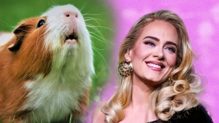 Σοκ: Τι έπαθαν πειραματόζωα που άκουγαν Adele για ώρες
