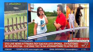 Αρκούδα εγκαταστάθηκε σε σπίτι στην Καστοριά-«Έριξαν κροτίδες, δεν φοβάται»