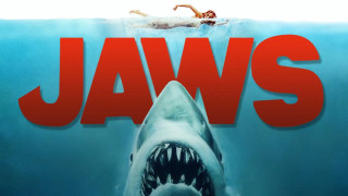 Jaws: Η ταινία που προκάλεσε τρόμο στον κόσμο για τη θάλασσα