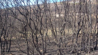 Δράμα: Έσβησε η φωτιά - Σε επιφυλακή οι δυνάμεις της Πυροσβεστικής