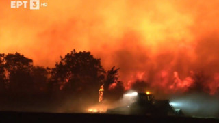 Δήμαρχος Λαγκαδά για τη φωτιά: «Σε κατάσταση έκτακτης ανάγκης»