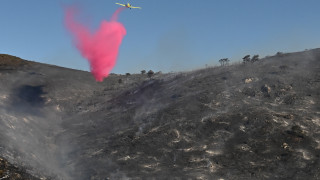 Χαλκιδική: Χωρίς ενεργό μέτωπο η πυρκαγιά στη Βουρβουρού