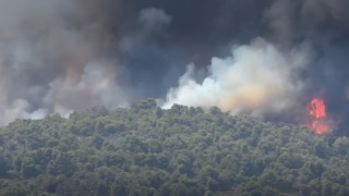 Μεγάλη φωτιά στη Ραφήνα: Κάηκαν σπίτια, μαζικές εκκενώσεις (vid)
