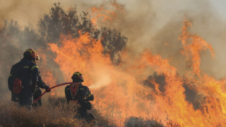 Φωτιά στο Σύδενδρο Γρεβενών: Επί ποδός η Πυροσβεστική-Εστάλη μήνυμα από το 112