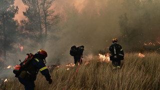 Θεσσαλονίκη: Πυρκαγιά στο Ωραιόκαστρο - Πνέουν δυνατοί άνεμοι