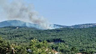 Θεσσαλονίκη: Φωτιά στο Φίλυρο-Επί ποδός η Πυροσβεστική, σηκώθηκαν καναντέρ και ελικόπτερα