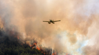 Για τρίτη φορά στις φλόγες το δάσος στο Γεράκι Αμαλιάδας - Πότε είχε ξανακαεί