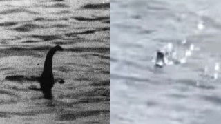 Η «Nessie» είναι εδώ-Επισκέπτρια «έπιασε» το τέρας του Λοχ Νες (vid)