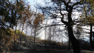 Προειδοποίηση Λέκκα για Κύθηρα: Το νησί οδηγείται σε ταχεία ερημοποίηση