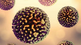 Τι είναι η νόσος Lyme: Ο κίνδυνος για το νευρικό σύστημα