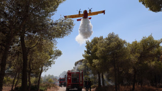 Φωτιά στη Βόλβη: Στο Βαϊοχώρι έφτασαν οι φλόγες-Ήχησε το «112»
