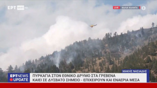 Πυρκαγιά στα Γρεβενά: Επιχειρούν και εναέρια μέσα