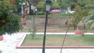 Δήμος Θεσσαλονίκης: Βάνδαλοι ρημάζουν το δίκτυο ηλεκτροφωτισμού