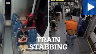 35χρονος μπήκε στο τρένο και δολοφόνησε εν ψυχρώ 23χρονη!