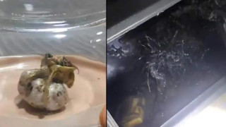 Παναμέζος στο Tik Tok υποστηρίζει ότι βρήκε εξωγήινο σε μετεωρίτη