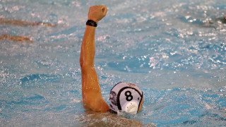 Επιβλητικός ΠΑΟΚ Domus Ergo συνέτριψε τον Υδραϊκό με 17-6!