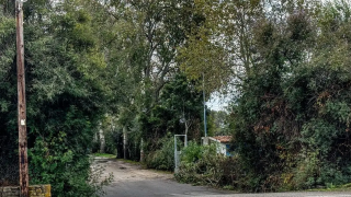 Φοινικούντα: «Συνελήφθη ο φυσικός και ο ηθικός αυτουργός»-Η ανακοίνωση της ΕΛ.ΑΣ.