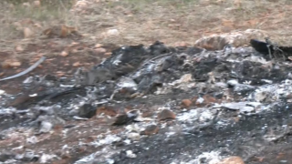 «Καλοσχεδιασμένη ενέργεια» η απανθρακωμένη σορός στη Βοιωτία