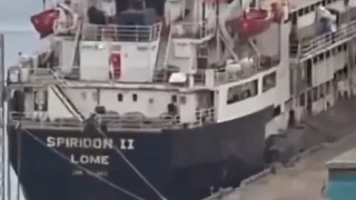 Περίπου 3.000 αγελάδες είναι εγκλωβισμένες σε φορτηγό πλοίο στα ανοιxτά της Τουρκίας