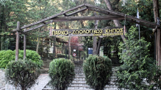 Θεσσαλονίκη: «Λουκέτο» στον Ζωολογικό Κήπο-Εντοπίστηκε βρουκέλλωση σε κριό