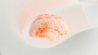 Ποια χόμπι επιλέγουν τα άτομα με υψηλό IQ