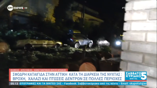 Πτώσεις δέντρων στην Αττική λόγω της κακοκαιρίας: Ζημιές σε οχήματα