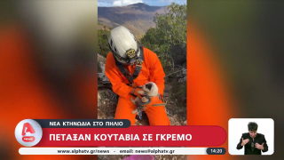 Απίστευτη κτηνωδία στο Πήλιο: Πέταξαν κουτάβια στο γκρεμό