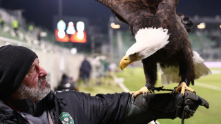 Ο αετός Fortuna ετοιμάζει υπερθέαμα πριν από το Λουντογκόρετς-ΠΑΟΚ!