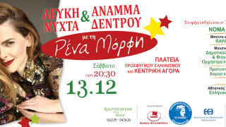 Καλαμαριά: Πότε ανάβει το χριστουγεννιάτικο δέντρο