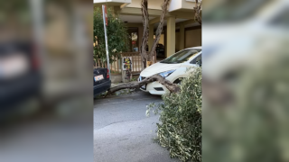 Θεσσαλονίκη: Τα «πήρε» και τα «σήκωσε» ο Βαρδάρης