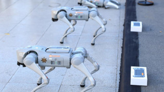 Το Μεξικό ενισχύεται με «σκυλιά ρομπότ» για το Μουντιάλ (vid)