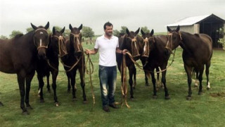 Κλωνοποιημένες φοράδες κάνουν σπουδαία καριέρα στο πόλο!