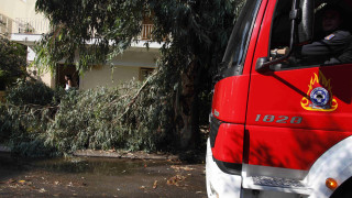 Κεντρική Μακεδονία: Ρεκόρ κλήσεων στην Πυροσβεστική λόγω κακοκαιρίας