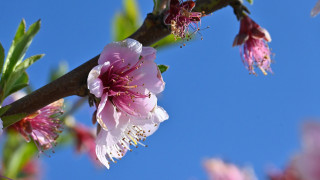 Με ανοιξιάτικο καιρό κλείνει ο Φεβρουάριος - Τι θα φέρει ο Μάρτης