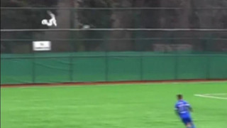 Απίστευτο σκηνικό: Ποδοσφαιριστής έκανε ΚΑΡΠΑ σε γλάρο και του έσωσε τη ζωή!