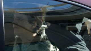 Οι πρώτες φωτογραφίες της Πόλας Ρούπα μετά τη σύλληψή της