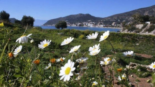 Σήμερα αρχίζει                                    και επίσημα η Άνοιξη