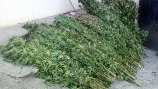 Έθαψε ενάμισι κιλό χασίς στο έδαφος!