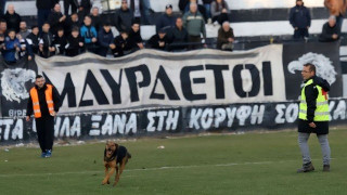 «Επίθεση» Κισσαμικού στη Δόξα για εισβολή σκυλιών και οι... δηλώσεις!