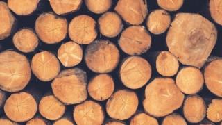 Δήμος Θεσσαλονίκης: Δωρεάν καυσόξυλα σε          πολίτες