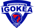 Ιγκοκέα logo